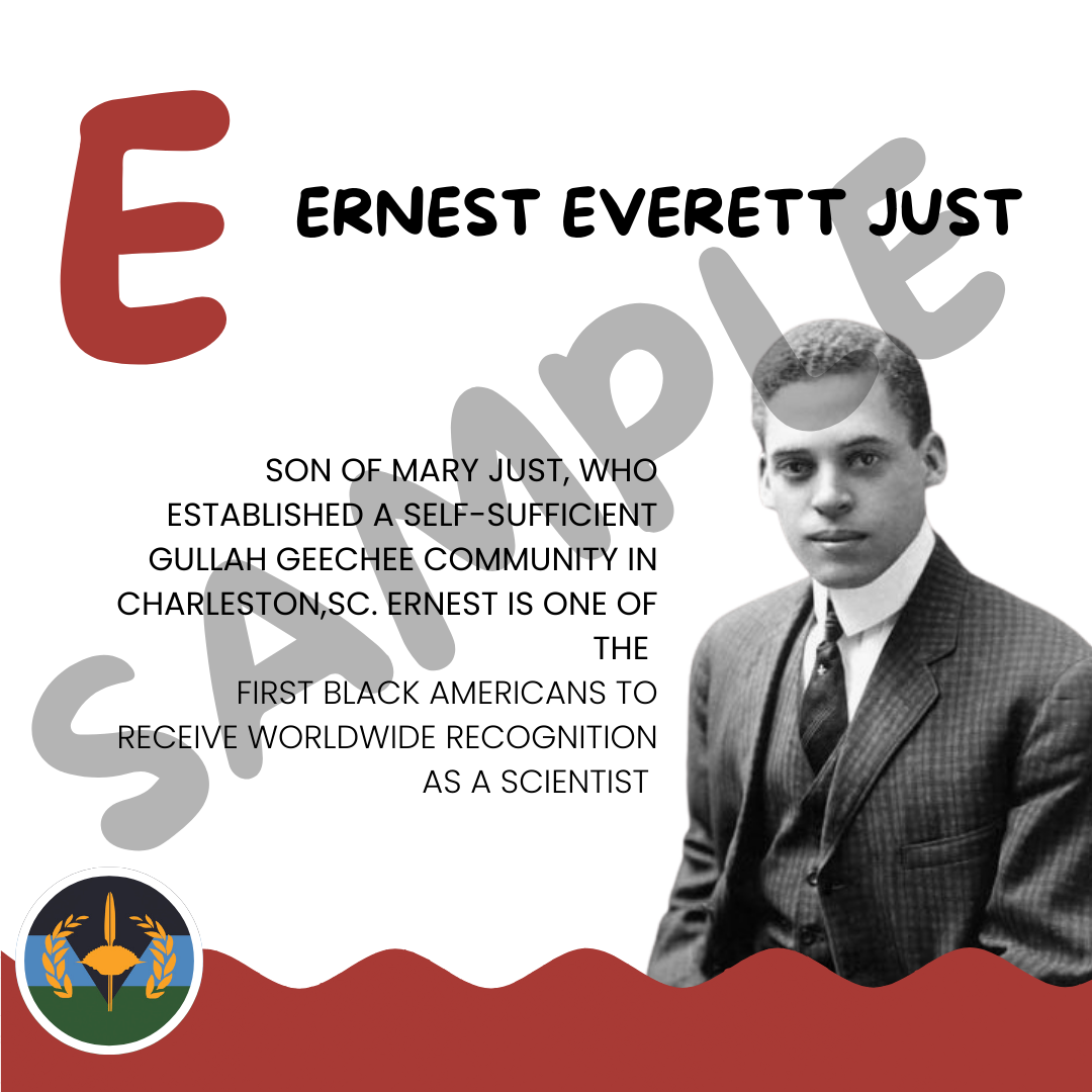 ABCs of South Carolina Gullah Geechee Black History: Charleston Edition: E Book