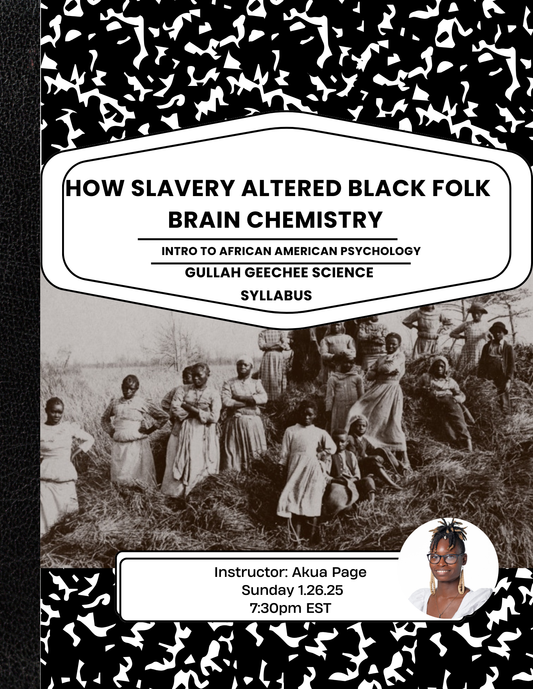 How Slavery Altered Black folk Brain Chemistry: Gullah Geechee E-Course Access